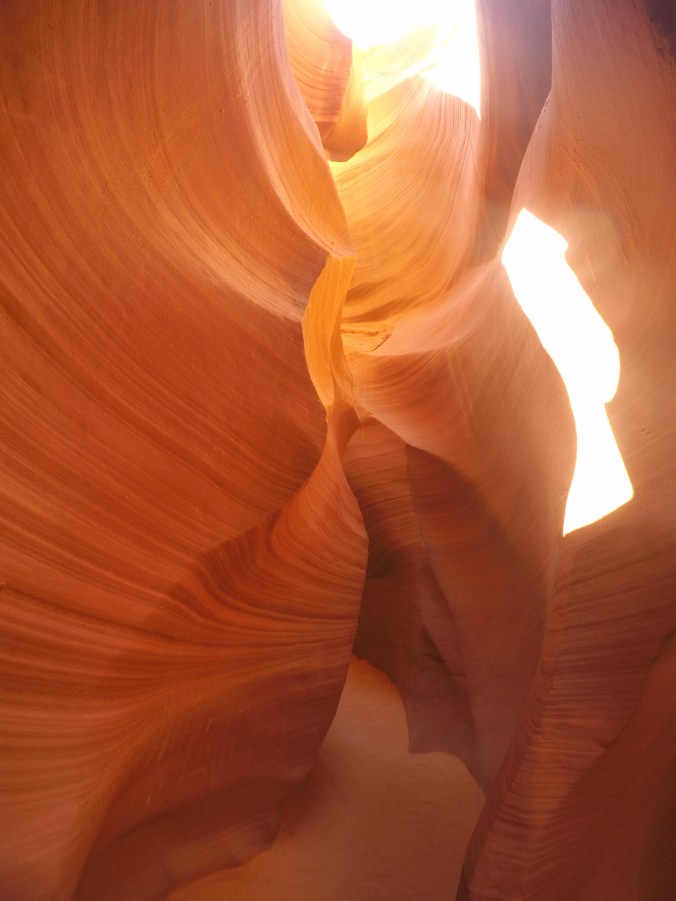 DCIM100GOPROGOPR1137.